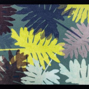 Tripple Monstera
